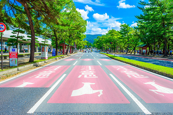 主要幹線道路からのアクセス抜群！