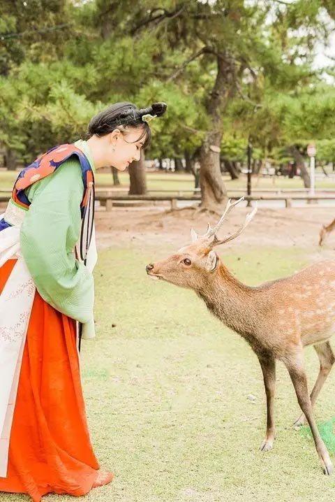 天平衣装なりきり体験イメージ