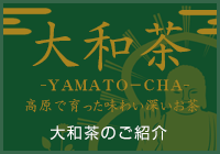大和茶 YAMATO-CHA