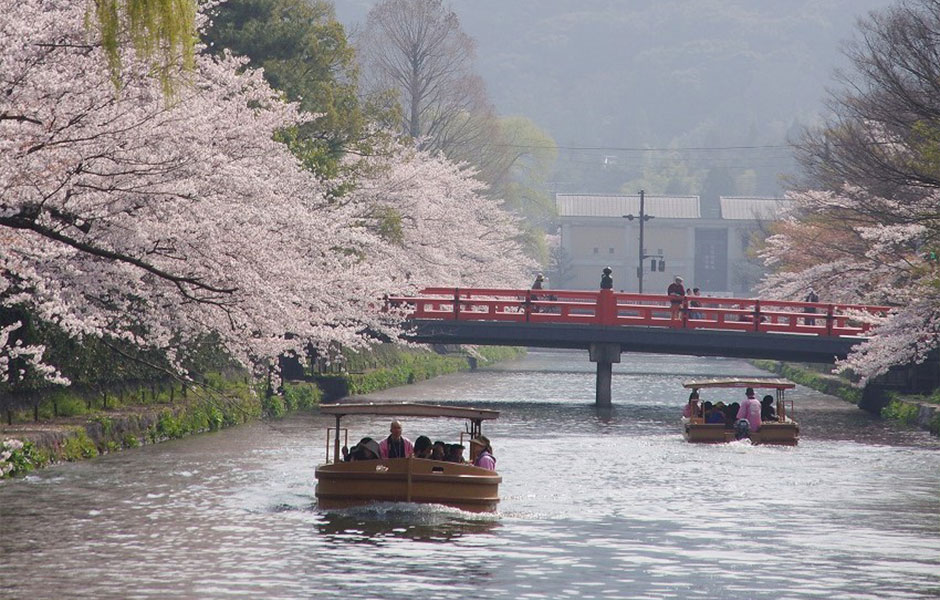 【京都】岡崎十石舟めぐりと京都散策