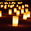 【今月のお出かけ・観光情報　奈良】2万本以上のろうそくがやさしく灯る　燈花会