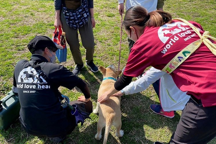 動物保護活動団体