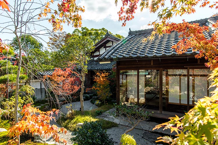 秋の紅葉と日本庭園(客室前)